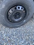 IMG_2251.jpeg