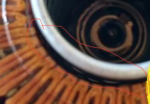 Screenshot 2025-05-13 9.14.28 PM.png