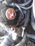 IMG_20200317_081501571.jpg