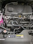 PXL_20230509_150830183.jpg