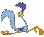 roadrunner-clip-art-4ibprdKig.gif